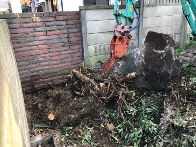 東京都武蔵野市吉祥寺東町の樹木伐採・屋内残置物撤去処分中の様子です。